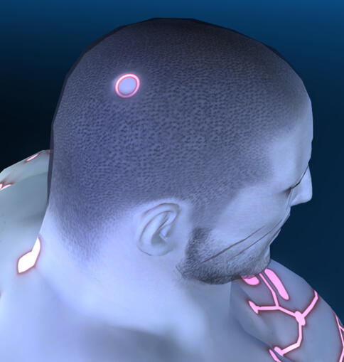 Custom hair adjustment and head cyber plug