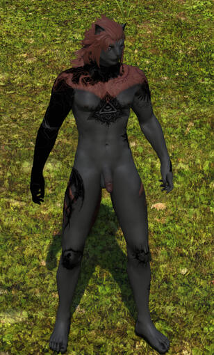 Tattoo port to TBSE-H