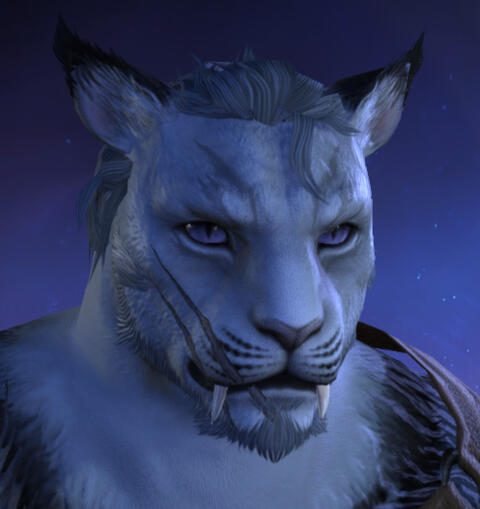 Custom hair and beard