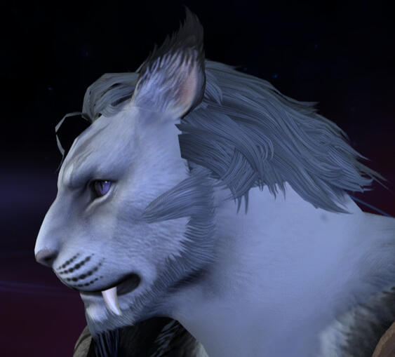 Custom hair and beard